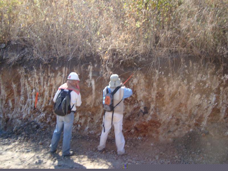 VERIFICACION AMBIENTAL